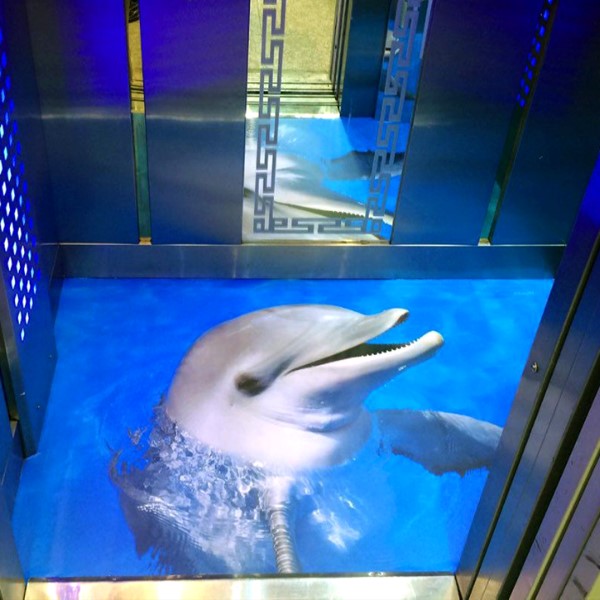 کفپوش آسانسور سه بعدی دلفین