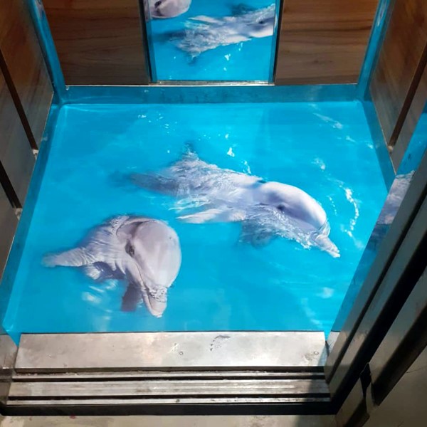 نمونه کفپوش آسانسور طرح دلفین