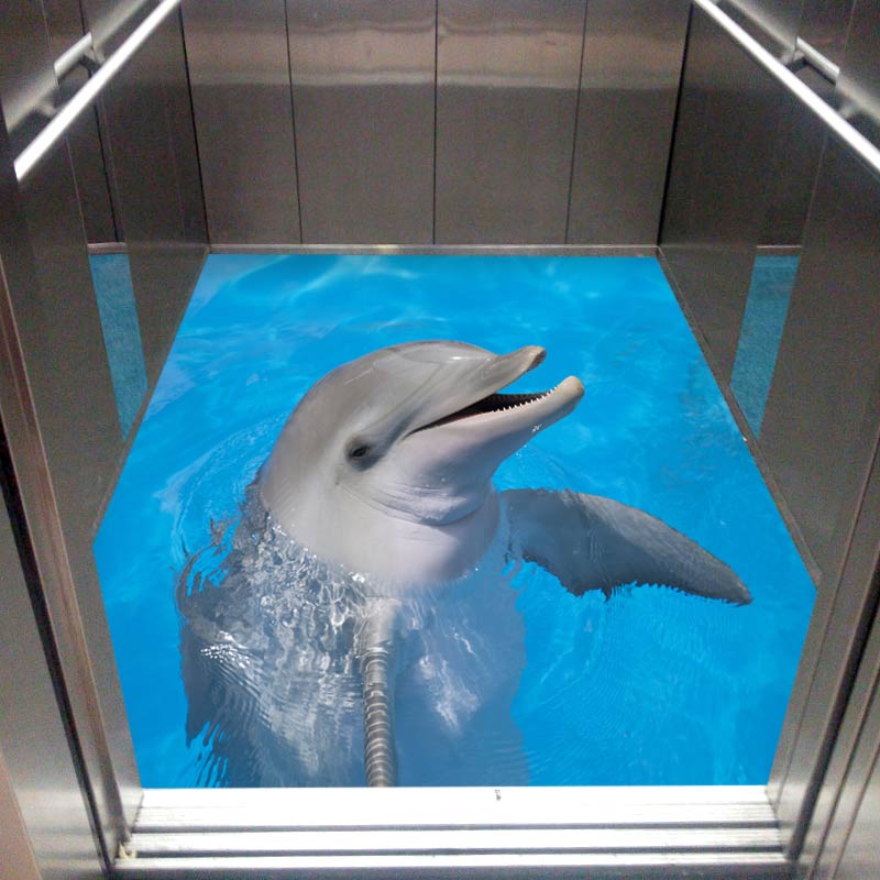 کفپوش آسانسور طرح دلفین